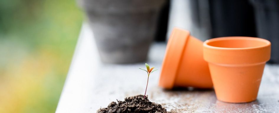 custodia copilului în concubinaj