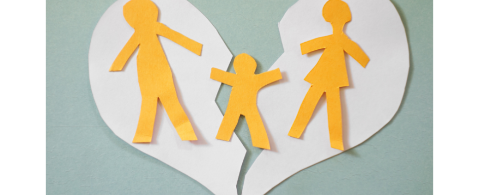 divortul in instanta